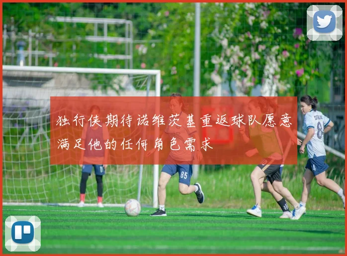 独行侠期待诺维茨基重返球队愿意满足他的任何角色需求