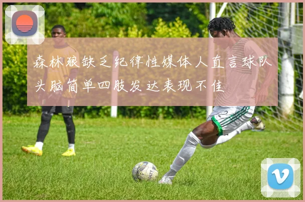 森林狼缺乏纪律性媒体人直言球队头脑简单四肢发达表现不佳